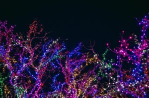 Colorful holiday lights illuminating tree branches against a dark night sky, perfect for festive backgrounds.